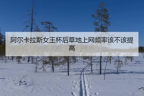 阿尔卡拉斯女王杯后草地上网频率该不该提高