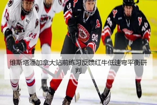 维斯塔潘加拿大站前练习反馈红牛低速弯平衡研判